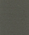シルバーブラックKNC